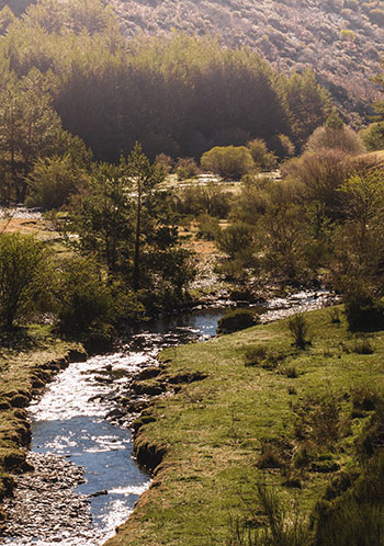 Nature in Valle di Comino